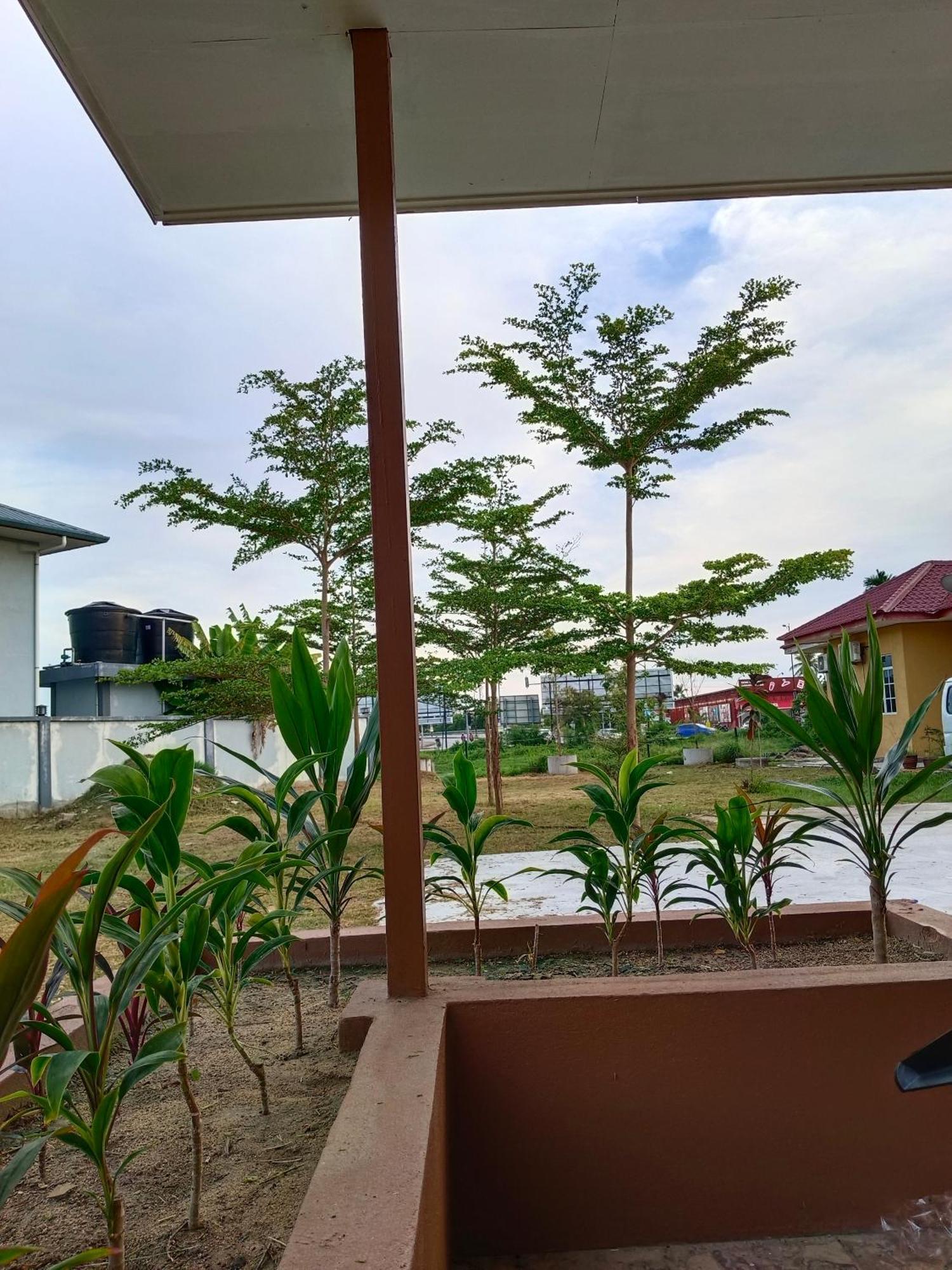 Alfa Roomstay Pantai Cenang  Extérieur photo